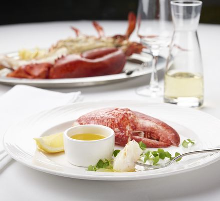 The Palm - Charlotte by null