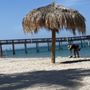 Photo of Playa El Coromuel