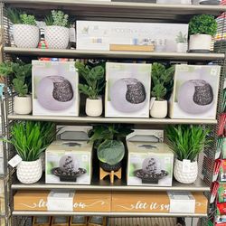 Christmas Tree Shops and That - Great Endcaps and Displays