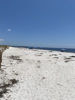 Gasparilla Island State Park by null