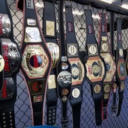 Royal Martial Arts