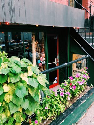 The Scratcher by null