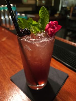 Honey and The Trapcat by null