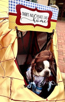 Village at Leesburg by null