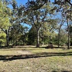 Jones Road RV Park - Open grounds