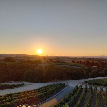 Bovino Vineyards - the sun setting over a vineyard - Wineries Near Me - Templeton, California Bovino Vineyards - the sun setting over a vineyard - Wineries Near Me - Templeton, California