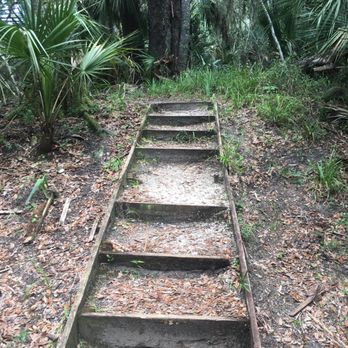 Bulow Creek State Park - Pathway Stairs - Parks Near Me - Ormond Beach, Florida Bulow Creek State Park - Pathway Stairs - Parks Near Me - Ormond Beach, Florida