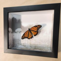 Evergreen Art Works
