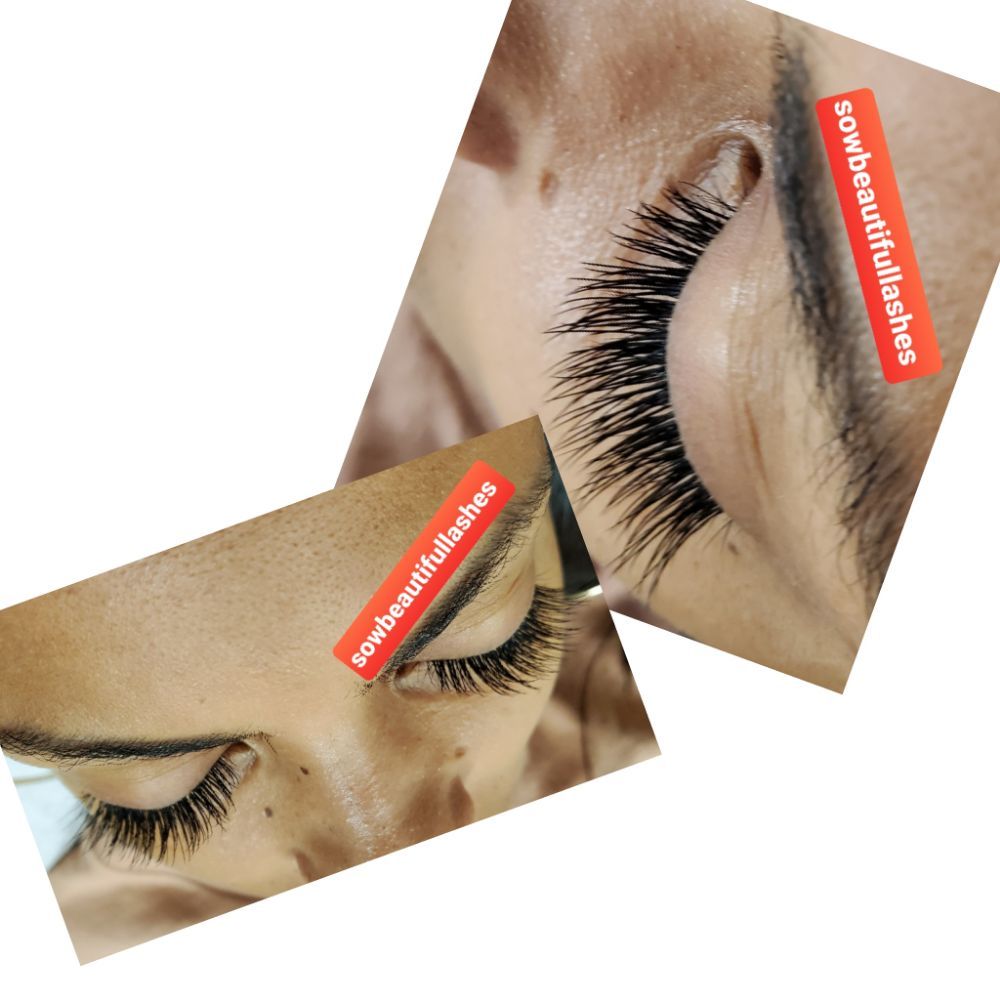 Sow Beautiful Lashes Logo