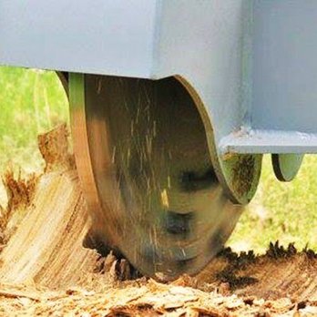 Austin Stump Grinding - Tree Services Near Me Austin Stump Grinding - Tree Services Near Me