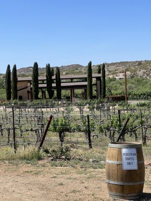 Alcantara Vineyards and Winery by null
