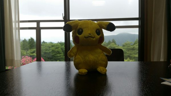 Hotel Green Plaza Hakone by null