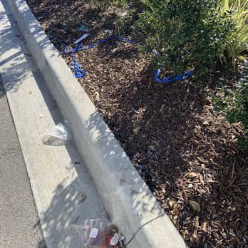 Wawa - Garbage in the lot. - Gas Stations Near Me - Palm Coast, Florida