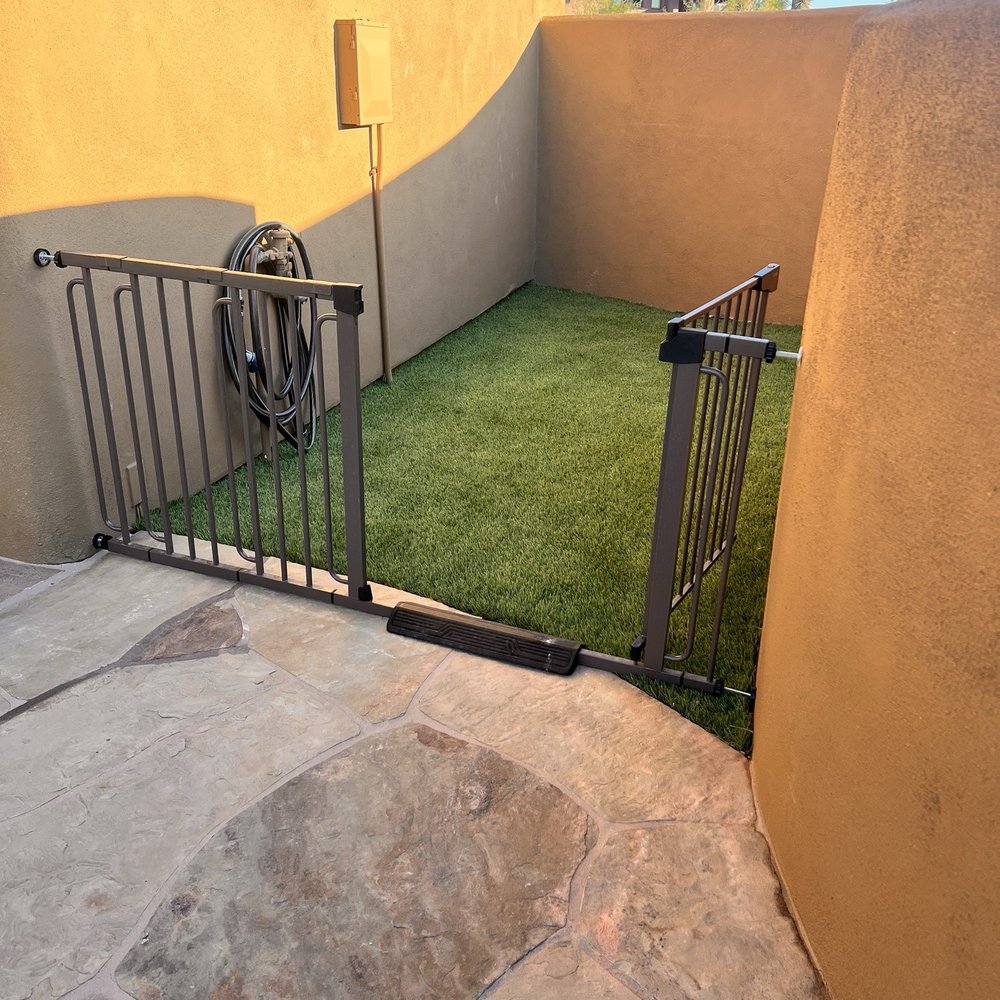 Big Bully Turf - Artificial Turf Near Me - Scottsdale, Arizona