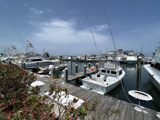 Cobb's Landing by null