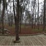 Photo of Lake Bistineau State Park