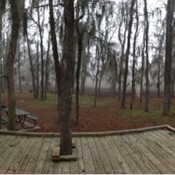 Lake Bistineau State Park