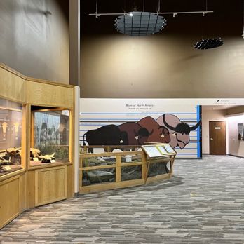 The Mammoth Site - Museums Near Me - Hot Springs, South Dakota The Mammoth Site - Museums Near Me - Hot Springs, South Dakota