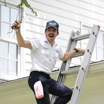 Pink's Window Services - Window Washing Near Me Pink's Window Services - Window Washing Near Me