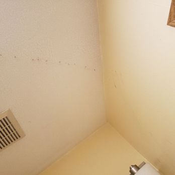 Wingate by Wyndham Mount Vernon - Dirty bathroom ceiling - Hotels Near Me - Mount Vernon, Washington Wingate by Wyndham Mount Vernon - Dirty bathroom ceiling - Hotels Near Me - Mount Vernon, Washington