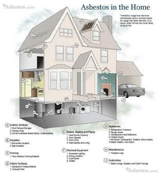 A1 Pro-Services - mold inspector in Lansing, MI