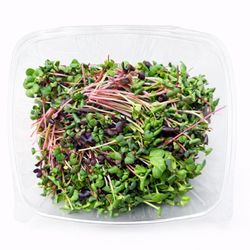 Coto Distributors - Micro Radish Mix 8OZ https://cotodistributors.com/product/micro-radish-mix-8oz/