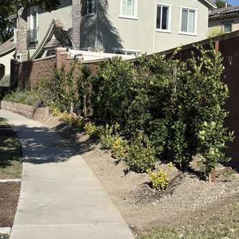 Aran Arbor and Landscape Care - Landscaping Near Me