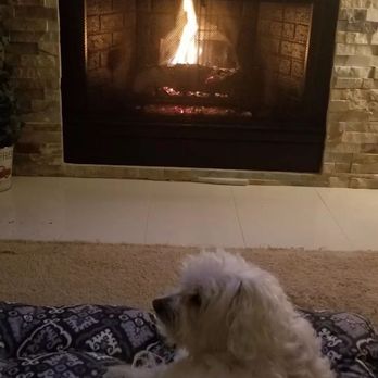 Mr Chimney Guy - Fluffy enjoying the Fireplace - Chimney Sweeps Near Me Mr Chimney Guy - Fluffy enjoying the Fireplace - Chimney Sweeps Near Me
