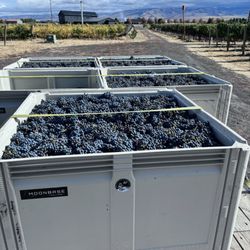 Moonbase Cellars