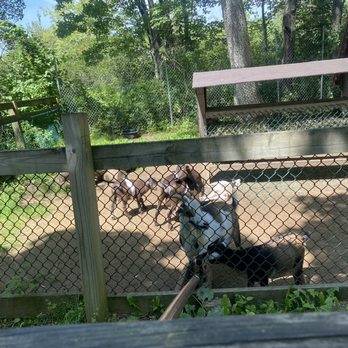 York Wild Kingdom - Amusement Parks Near Me - York, Maine York Wild Kingdom - Amusement Parks Near Me - York, Maine
