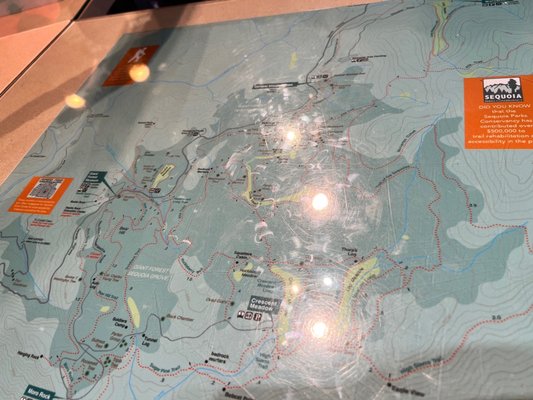 Giant Forest Museum by null