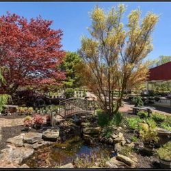 The Creek Nursery