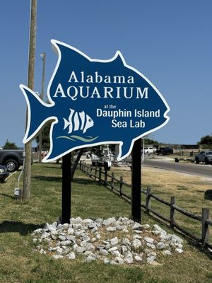 Alabama Aquarium at the Dauphin Island Sea Lab by null