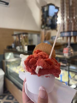 gelateria dell'angeletto by null