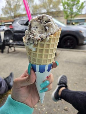 Chocolate Shoppe Ice Cream by null