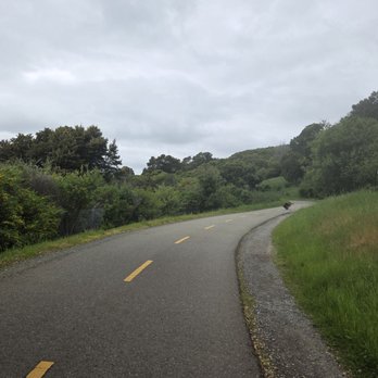 Sawyer Camp Trail - trail - Hiking Near Me - San Mateo, California