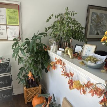 1 Hour Marriage - Officiants Near Me - Alhambra, California