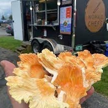 Nomad Chefs - Brandon Rubles  Nomad Chefs/ Nomad Kitchen Food Truck At Hogback Mountain Is The Best - Food Trucks Near Me - Wilmington , Vermont