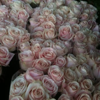 Sadia Fleurs - Florists Near Me - Bordeaux, 33 Sadia Fleurs - Florists Near Me - Bordeaux, 33