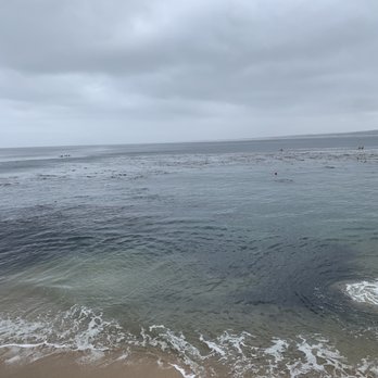 Monterey Bay Coastal Trail - Hiking Near Me