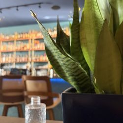 Mosaic Kitchen & Cocktails