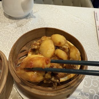 The Moon - Curry Octopus - Desserts Near Me - Richmond Hill, Ontario The Moon - Curry Octopus - Desserts Near Me - Richmond Hill, Ontario