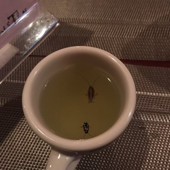 Sushi & Thai - Sushi Bars Near Me - Dunmore, Pennsylvania