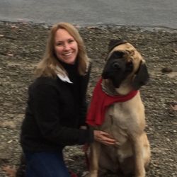 Wendy Moreau - Wendy & Bristol