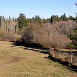 The Bremerton Bark Park is just a fenced in open field.