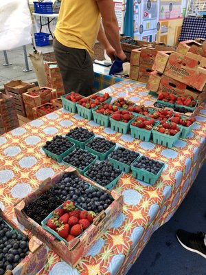 Lake City Farmers Market by null