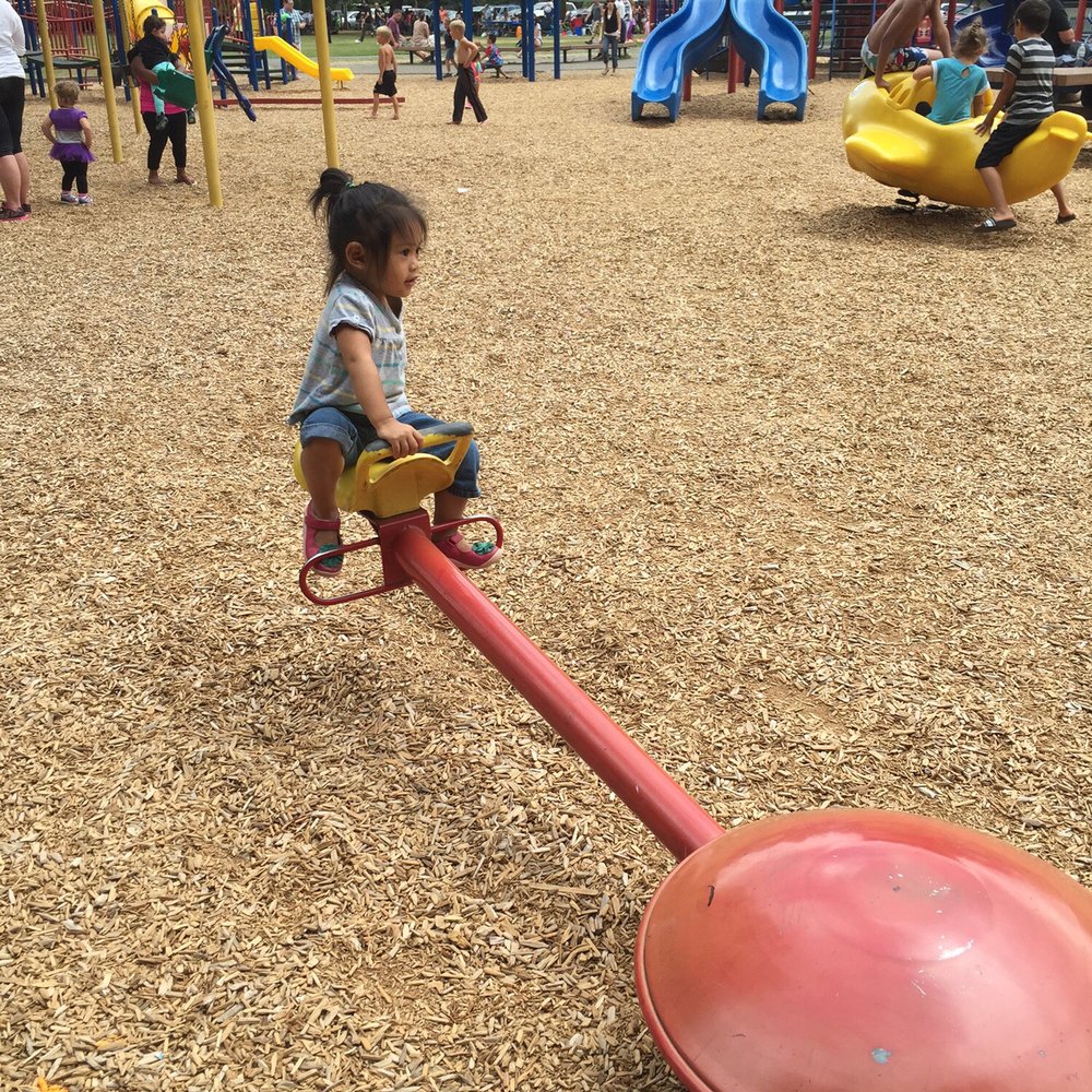 Forest Park - Parks Near Me - Everett, Washington Forest Park - Parks Near Me - Everett, Washington