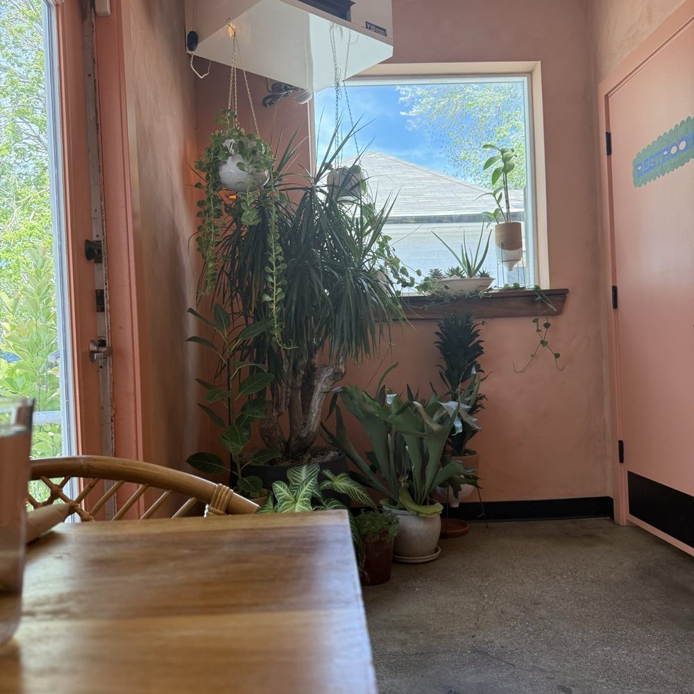 Contento Cafe - Back door and window nourishing some of the many plants. - Coffee & Tea Near Me - South Salt Lake, Utah