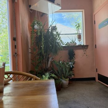 Contento Cafe - Back door and window nourishing some of the many plants. - Coffee & Tea Near Me - South Salt Lake, Utah Contento Cafe - Back door and window nourishing some of the many plants. - Coffee & Tea Near Me - South Salt Lake, Utah