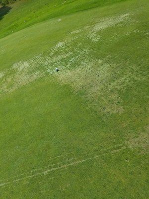 ELMBROOK GOLF COURSE Updated May 2025 16 Reviews 1750 Townline Rd ELMBROOK GOLF COURSE Updated May 2025 16 Reviews 1750 Townline Rd